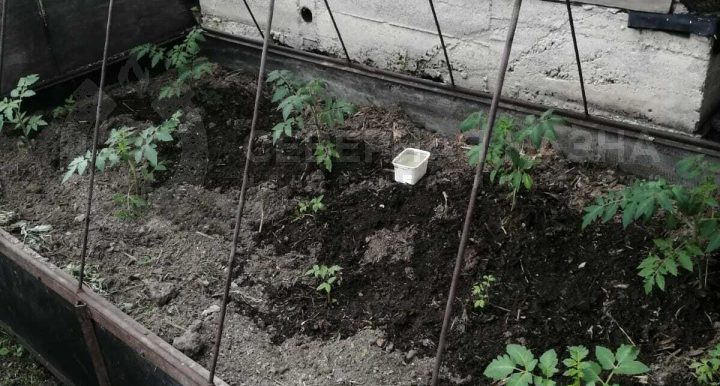 608c6d88f8e6b817cd21f552261d7347_313