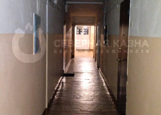 8288aa9fb5e2138915ca71738749b878_313