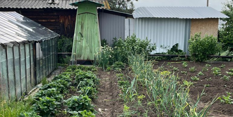 98686f99afa586fdf50e919c1280d1f5_313