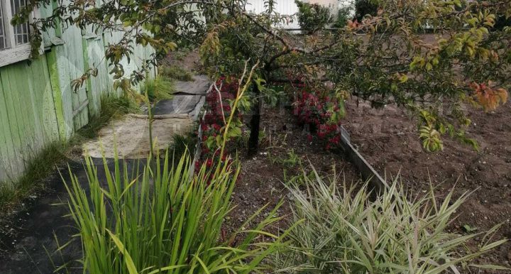 9894572741061aec2e0409c7a293163f_313