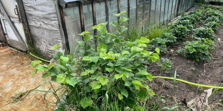 aa4081c02fab06db5f2a0fae527cd327_313