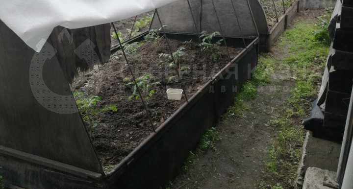 abe60807748e87bfb22983450ca3e8de_313