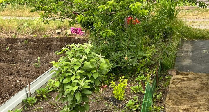 c60bd44afbc9c5d1ea6626ff60fd80b4_313