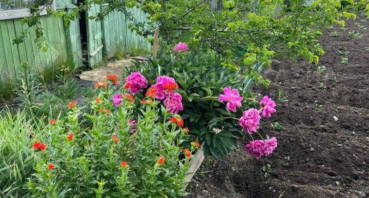 cd04f9a76c0eacbc92c1594a21e7c1bb_313