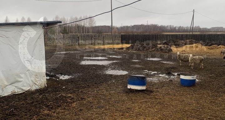 d33e81643ec109a041ebe2e7acf16d33_313