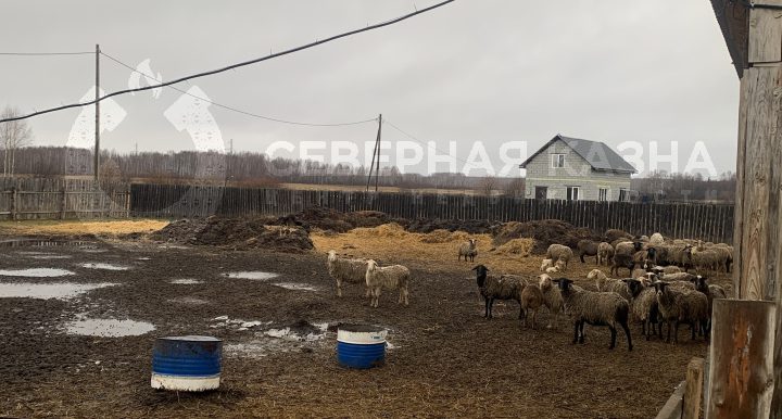 e32c889c4b2a2bef235aecdd9656351d_313