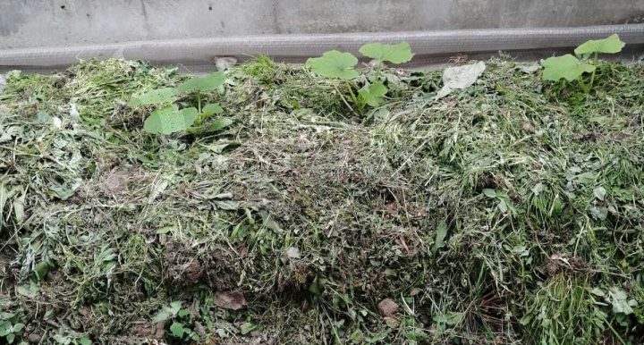 f1c3489689cd4bca07f5091feee735a9_313