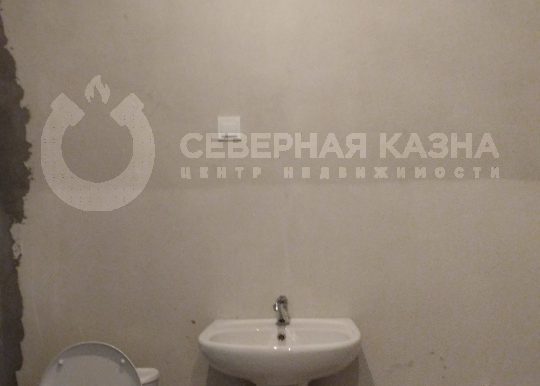 3763f90aedcc83c87cd6feee35f6ba64_313