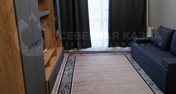 96302db62546ab87150310dca0433116_313