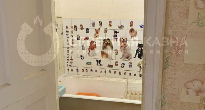 2c23ceac68076b4c016a74f4af798bb2_313