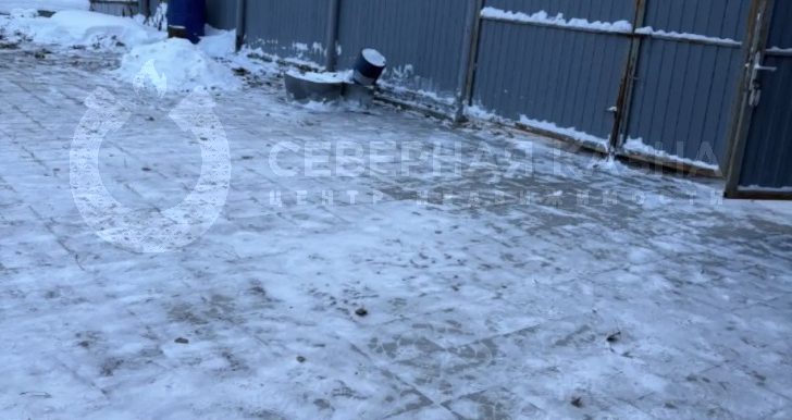 083c21160747eb825fad4aa35d047efd_313