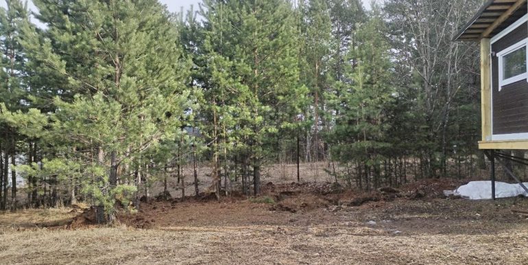 1f53956208f00c36e45181623c05b3f2_313