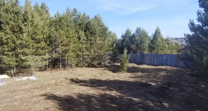 3b0f4f7544a6a2feae08f67ff881008f_313