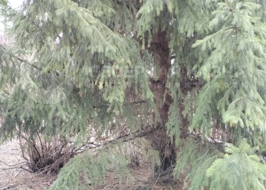 a3100d2a21b47bda6f27f9b50d4304b4_313