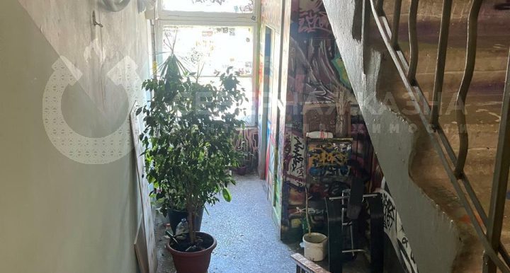 c3193e1f4e45a8ad06a9cb57cd9421e3_313