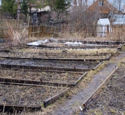 c92df72e11b0896dd9a9dca97904f3a3_313