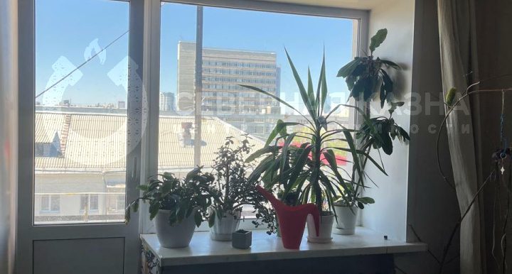 cae5b89410839dd6a0ab479df523a5fd_313